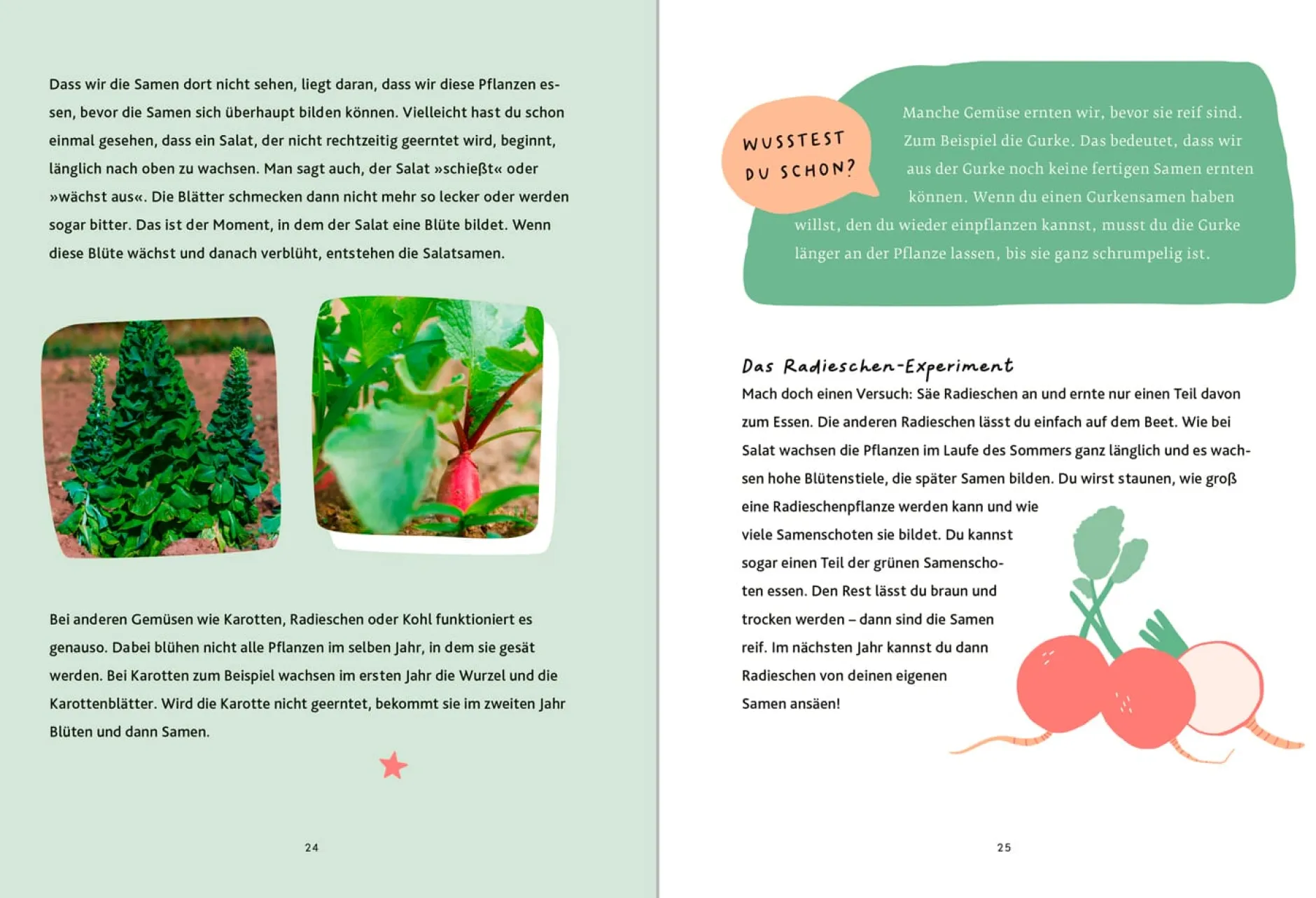 Oekom Verlag Schau mal, was da wächst Outlet