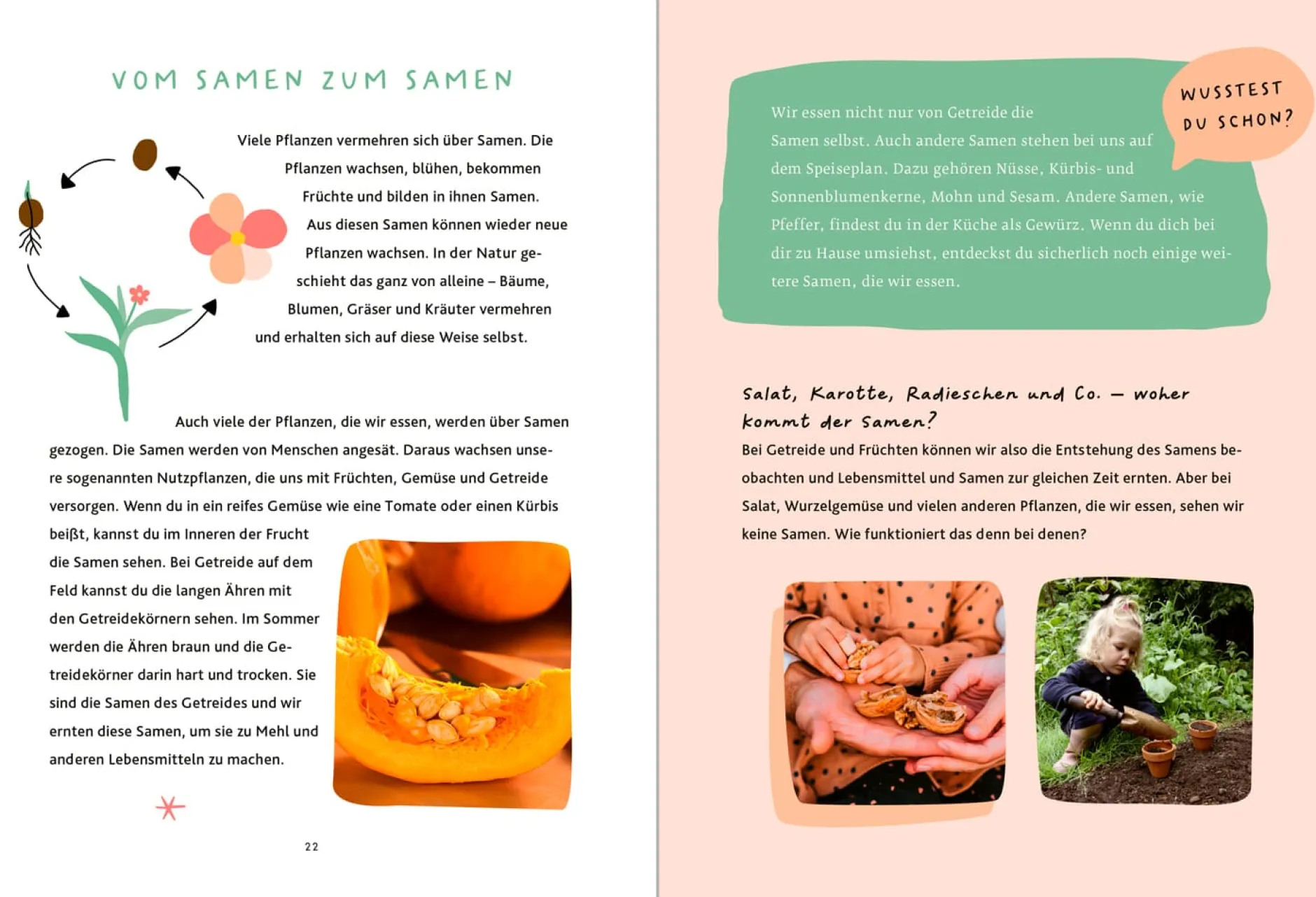 Oekom Verlag Schau mal, was da wächst Outlet