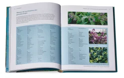 Löwenzahn Verlag Schnecken Hot