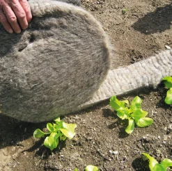 Tobias Tumfart Schneckenbarriere Schafwolle Discount