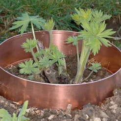 Slug Rings Schneckenring Kupfer Best