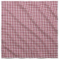 Leinenweberei Vieböck Serviette rot-weiß kariert Online
