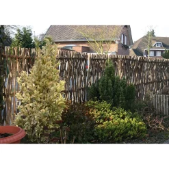 Jadimex Sichtschutz Haselnussholz Clearance