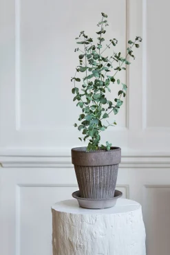 Bergs Potter Simona Pflanztopf mit Untersetzer Discount