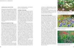 Gräfe und Unzer Verlag So wird der Garten fit fürs Klima Hot