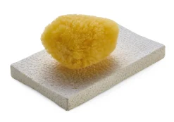 Isuguri Soil Seifenablage Kieselgur Weiß Outlet