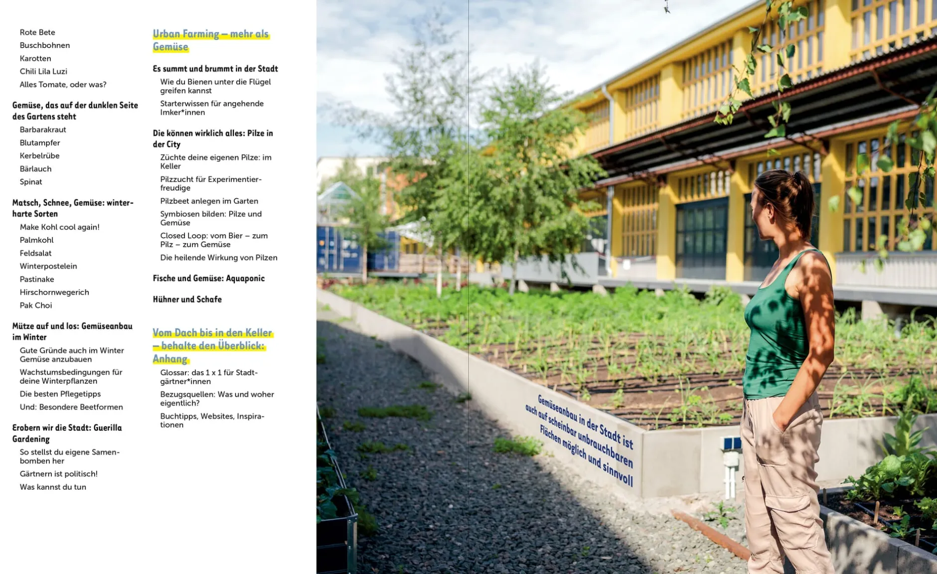 Löwenzahn Verlag Stadtgemüse Discount