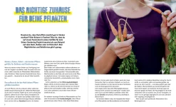 Löwenzahn Verlag Stadtgemüse Discount