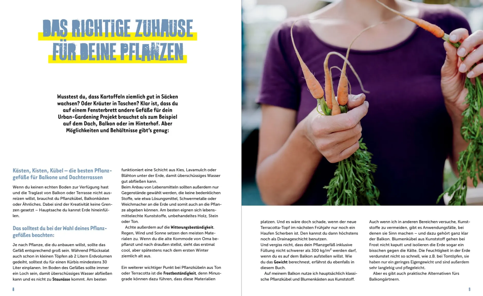 Löwenzahn Verlag Stadtgemüse Discount