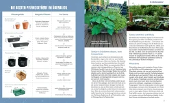 Löwenzahn Verlag Stadtgemüse Discount