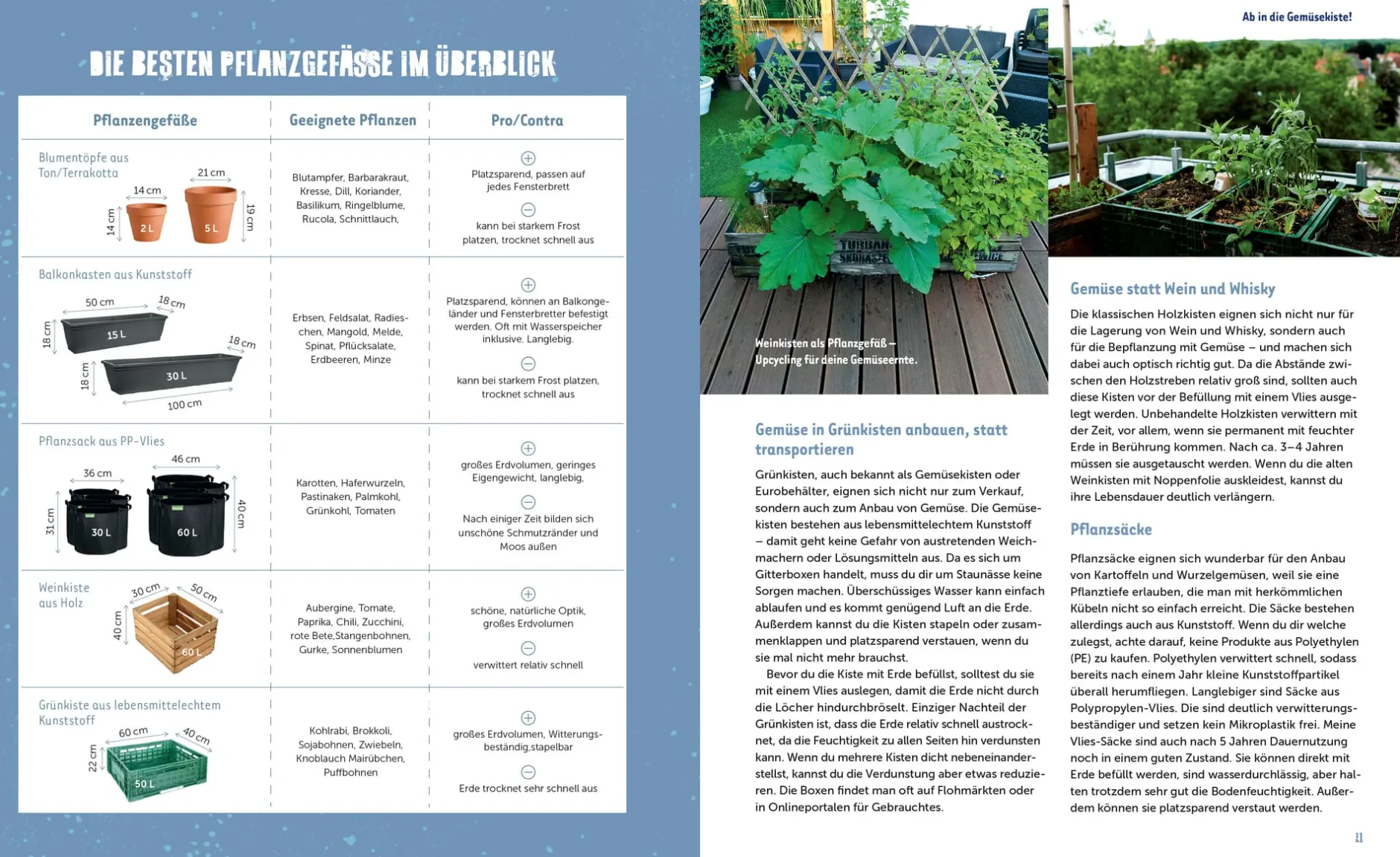 Löwenzahn Verlag Stadtgemüse Discount