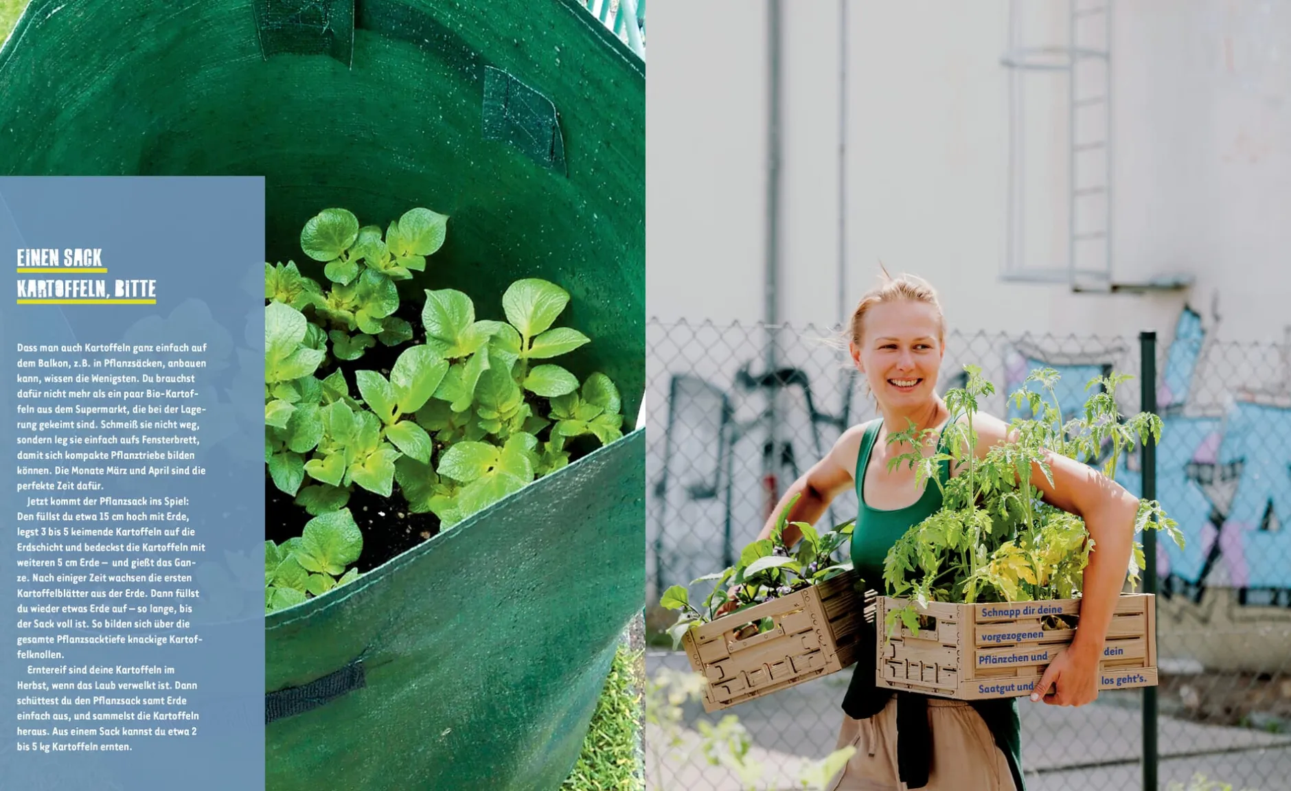 Löwenzahn Verlag Stadtgemüse Discount
