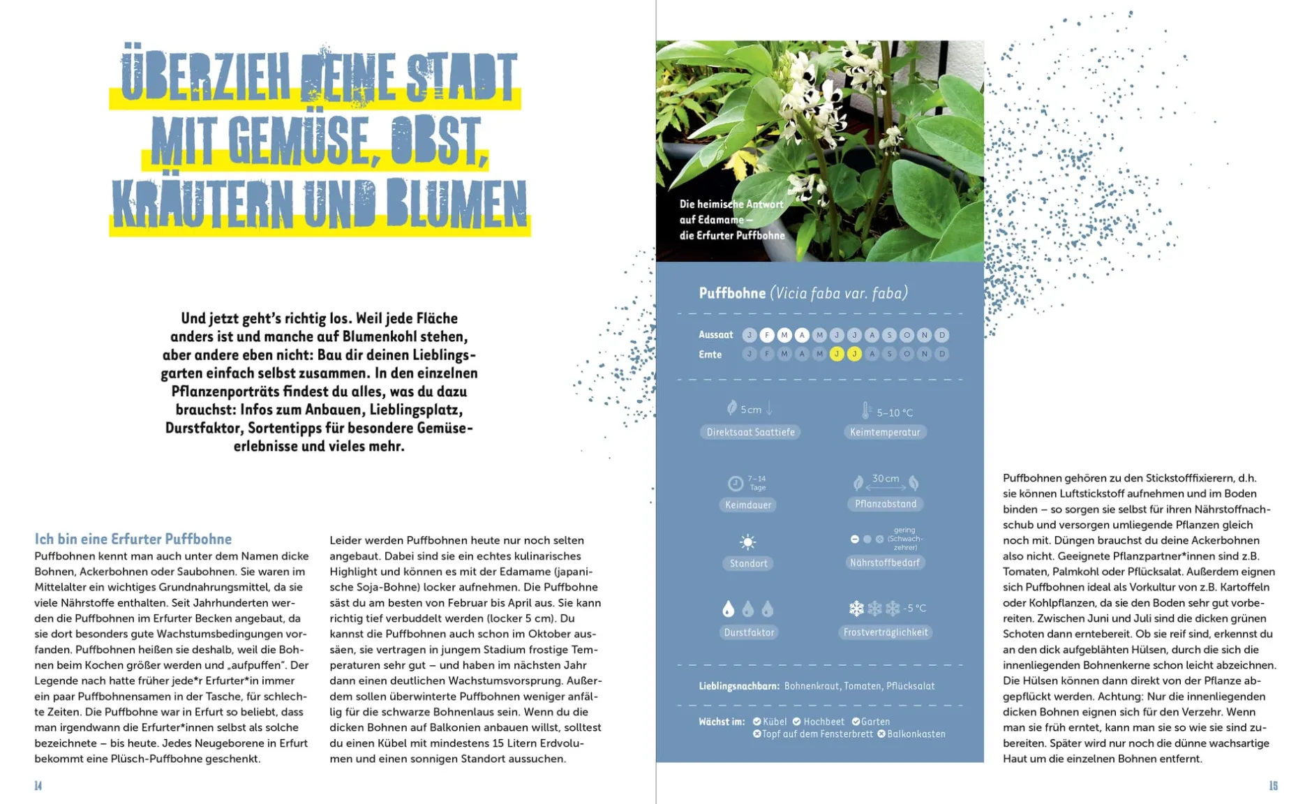 Löwenzahn Verlag Stadtgemüse Discount