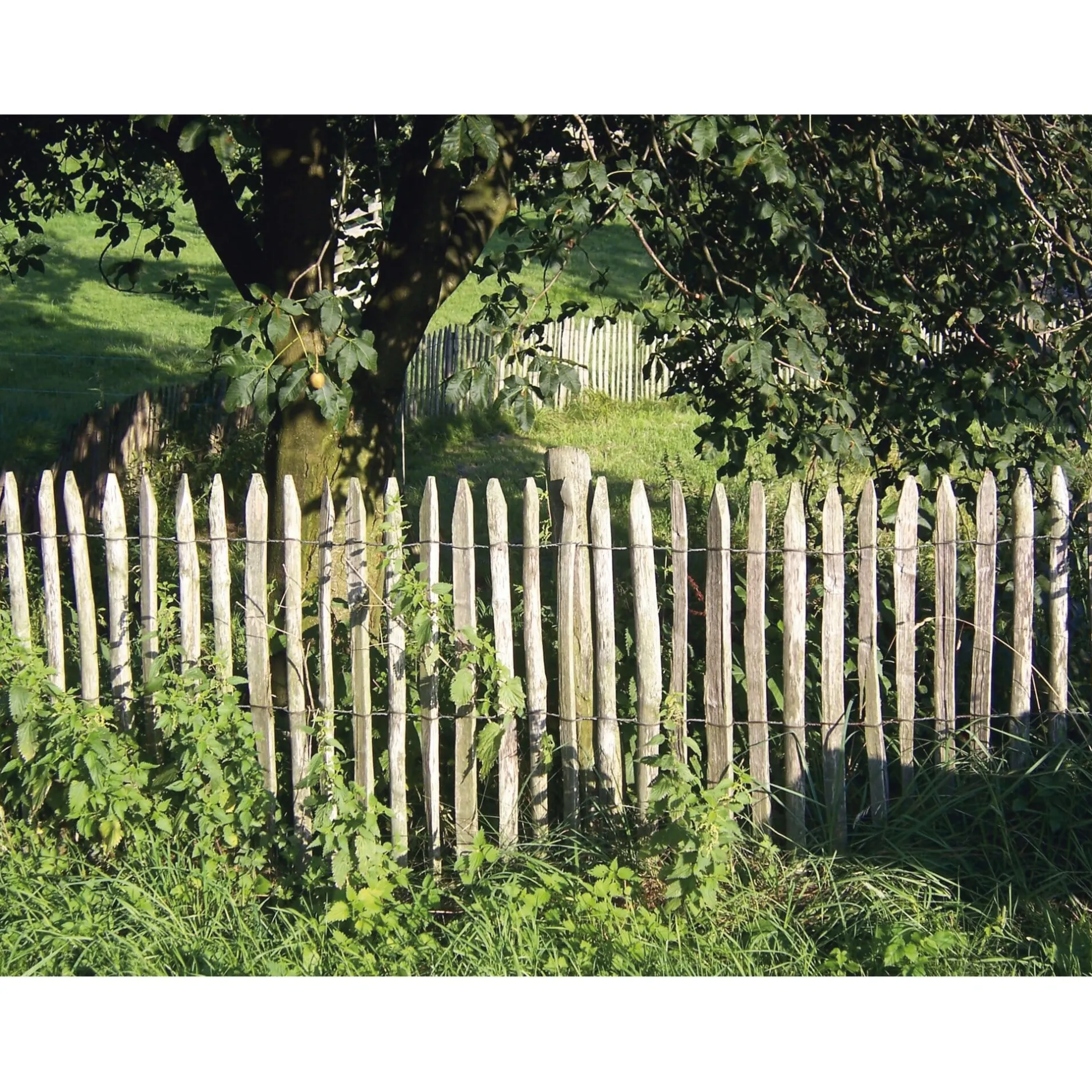 Woodline TN Sarl Staketenzaun Kastanienholz Clearance