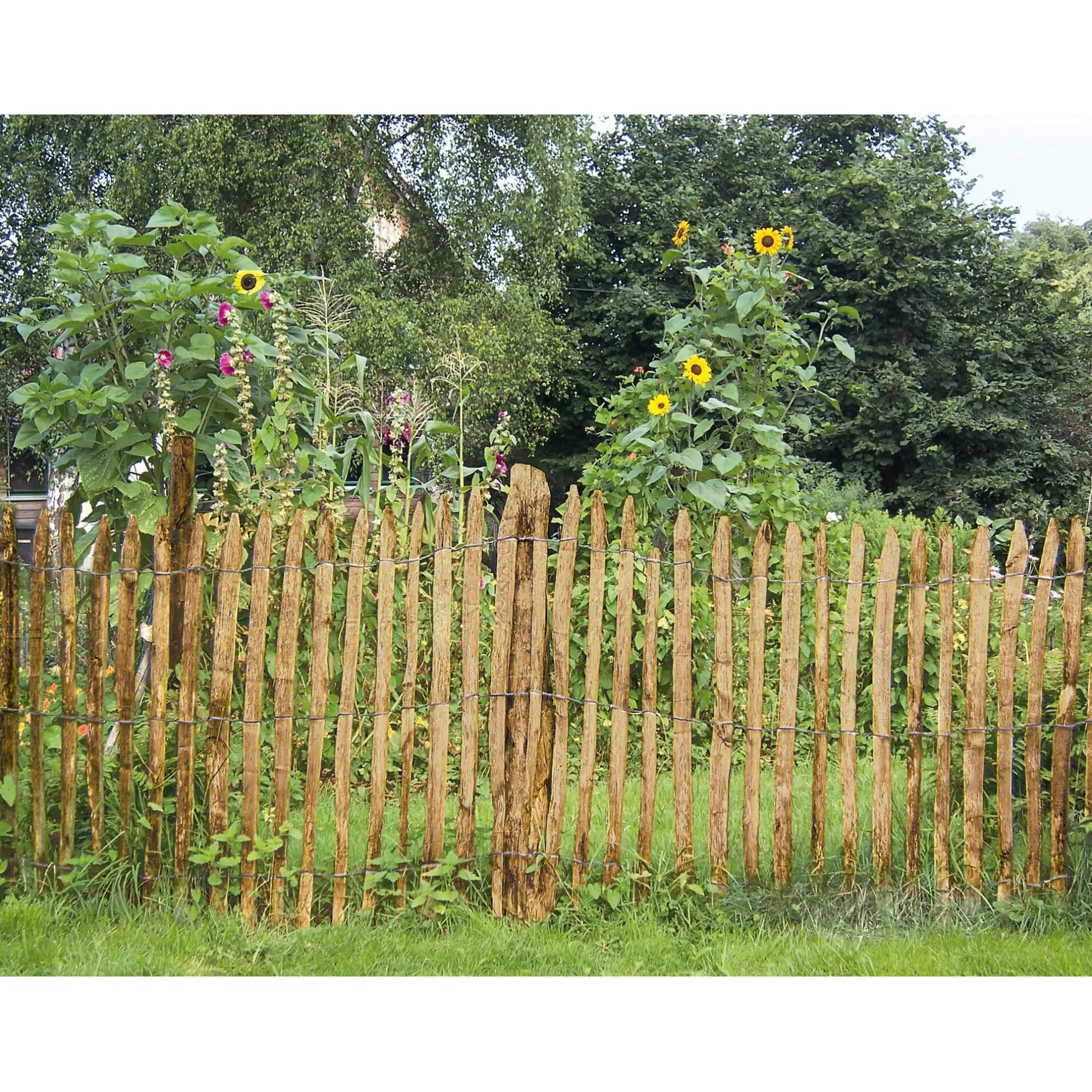 Woodline TN Sarl Staketenzaun Kastanienholz Clearance