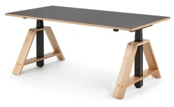 Karl Westermann Steh-Sitz-Arbeitstisch Esche und Linoleum New