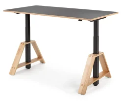 Karl Westermann Steh-Sitz-Arbeitstisch Esche und Linoleum New