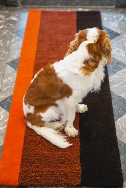 SUITE702 Teppich Lex Best