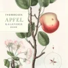Jan Thorbecke Verlag Thorbecke Apfel-Kalender 2026 Best
