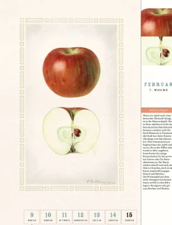 Jan Thorbecke Verlag Thorbecke Apfel-Kalender 2026 Best