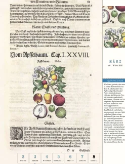 Jan Thorbecke Verlag Thorbecke Apfel-Kalender 2026 Best