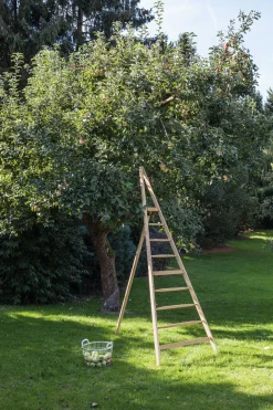Jäger Leitern und Holzwaren Thüringer Obstleiter Online