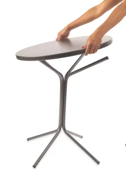 Schaffner Tisch Pix Clearance