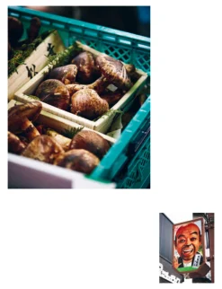 Random House Tokyo Stories Sale