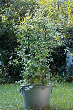 Manufactum Topfobelisk Stahl Outlet