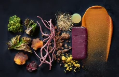 Becker Joest Volk Verlag Toppings Sale