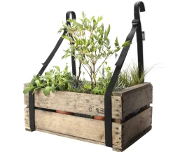 Bacsac Tragegurt Balkonkiste New