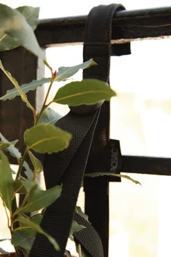 Bacsac Tragegurt Balkonkiste New