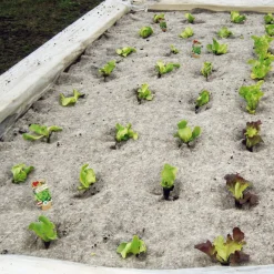 Tobias Tumfart Unkrautschutzmatte Schafwolle New