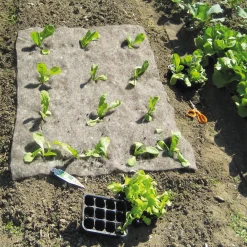 Tobias Tumfart Unkrautschutzmatte Schafwolle New