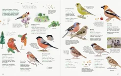 Wawra Verlag Unserer Natur auf der Spur Clearance