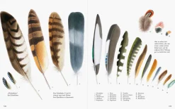 Wawra Verlag Unserer Natur auf der Spur Clearance