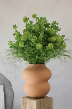 Bergs Potter Vase Belle Outlet