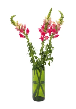 Q de bouteille Vase Weinflasche Smaragdgrün Online