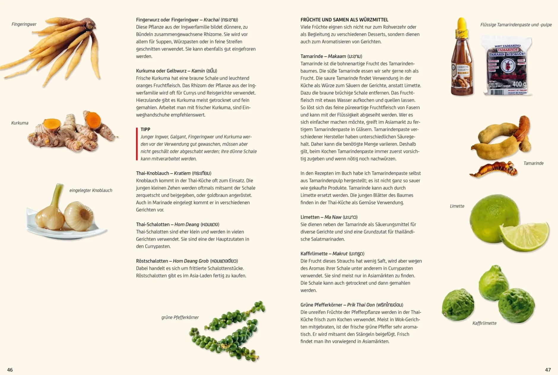 Christian Verlag Vegan Thai Outlet