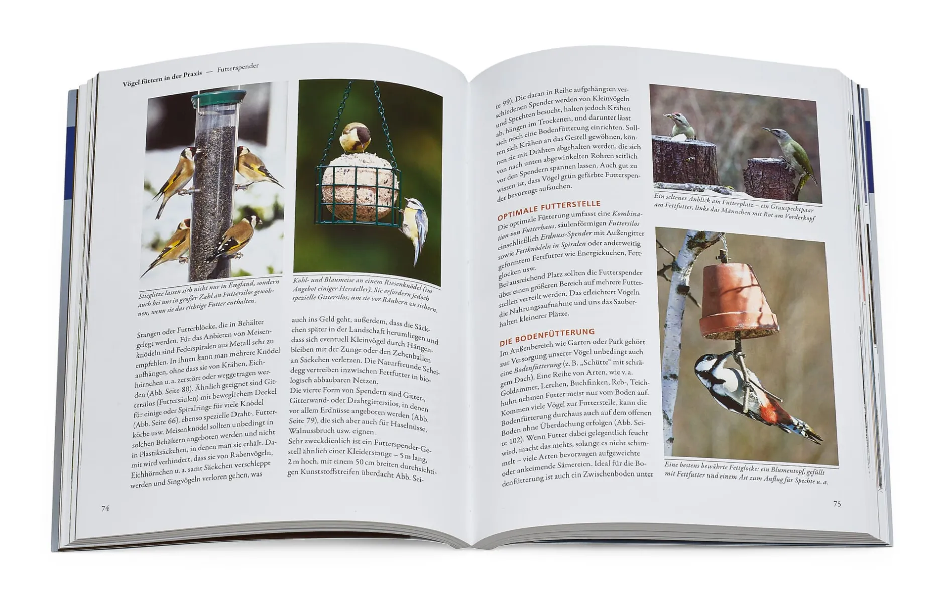 Kosmos Verlag Vögel füttern, aber richtig