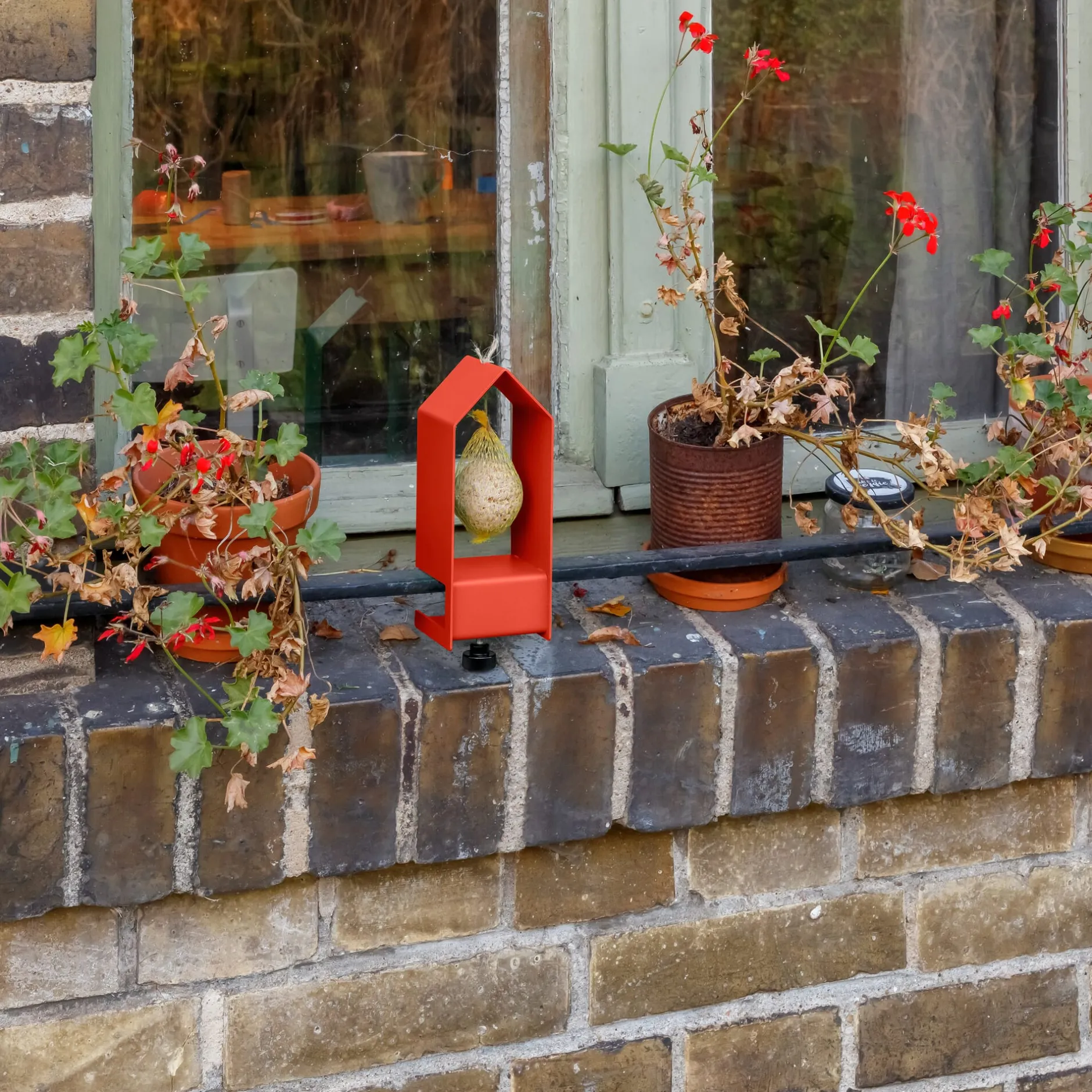 Vogelfutterhaus Tinybird Best