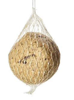 Claus Vogelknödel mit Insekten Sale