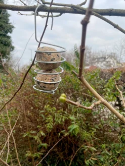 bellissa Haas Vogelknödelhalter Spirale Best
