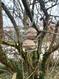 bellissa Haas Vogelknödelhalter Spirale Best