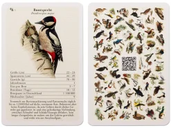 Dominik Eulberg Vogelquartett mit Vogelstimmen Discount