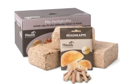 Hawlik Pilzbrut Waldpilzbrut 'Braunkappe' Outlet