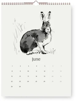 Teemu Järvi Illustrations Wandkalender Teemu Järvi Discount