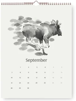 Teemu Järvi Illustrations Wandkalender Teemu Järvi Discount