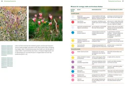 Ulmer Verlag Wächst nicht gibt's nicht Online