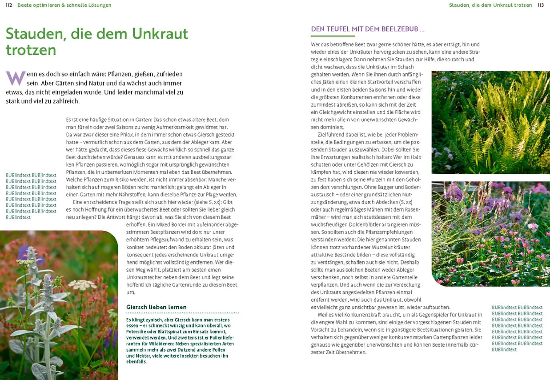 Ulmer Verlag Wächst nicht gibt's nicht Online